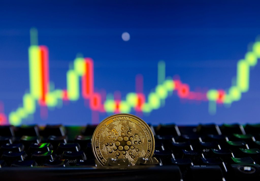 crypto market metrics